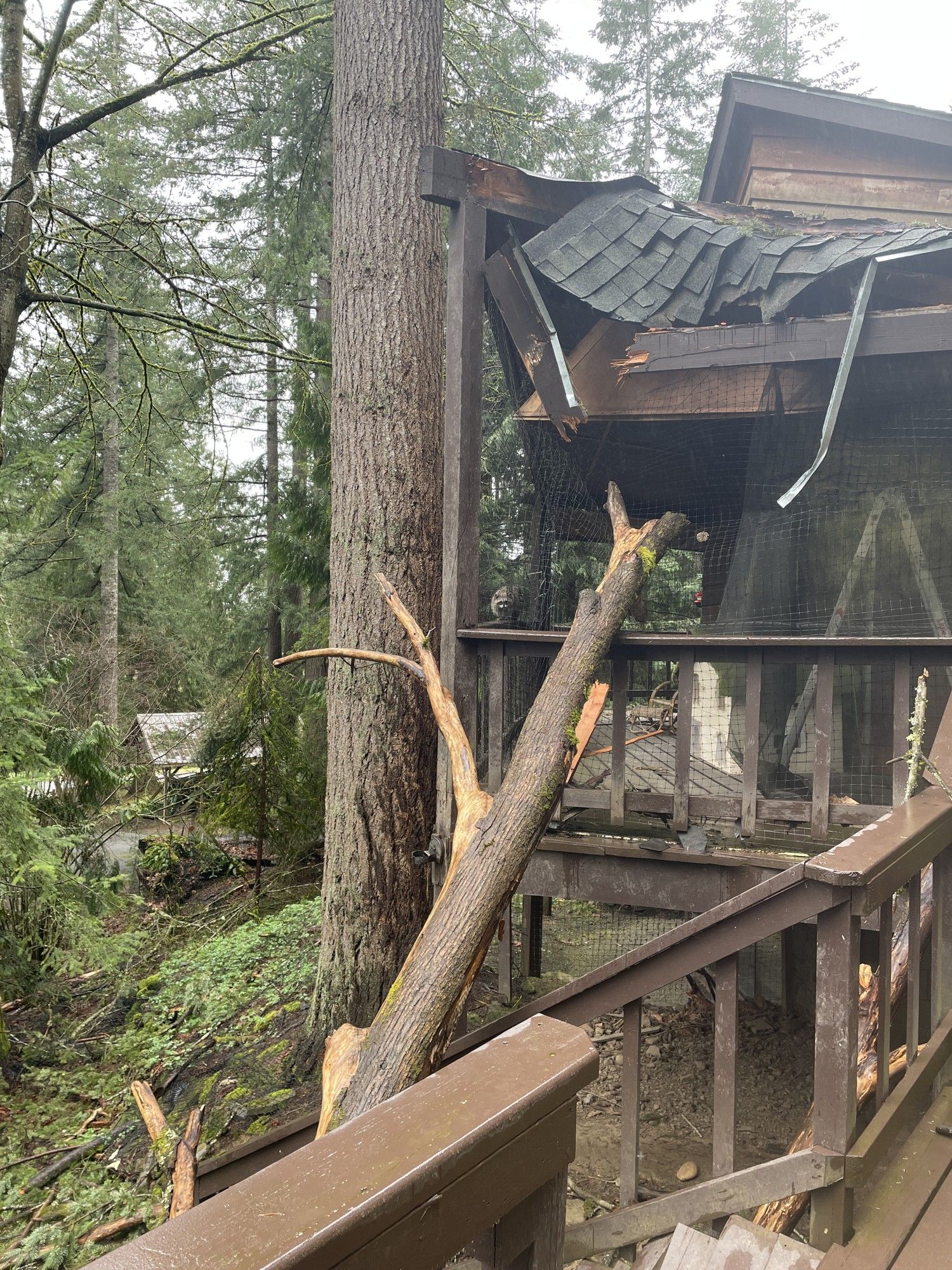 Tree fallen onto a damaged deck and structure during storm damage repair in Chehalis, WA
